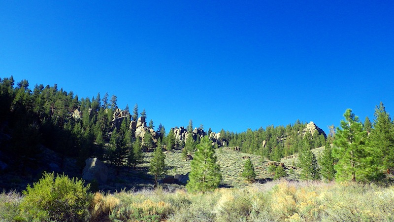 From Trailhead