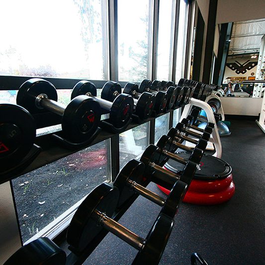 MM_weightroom1