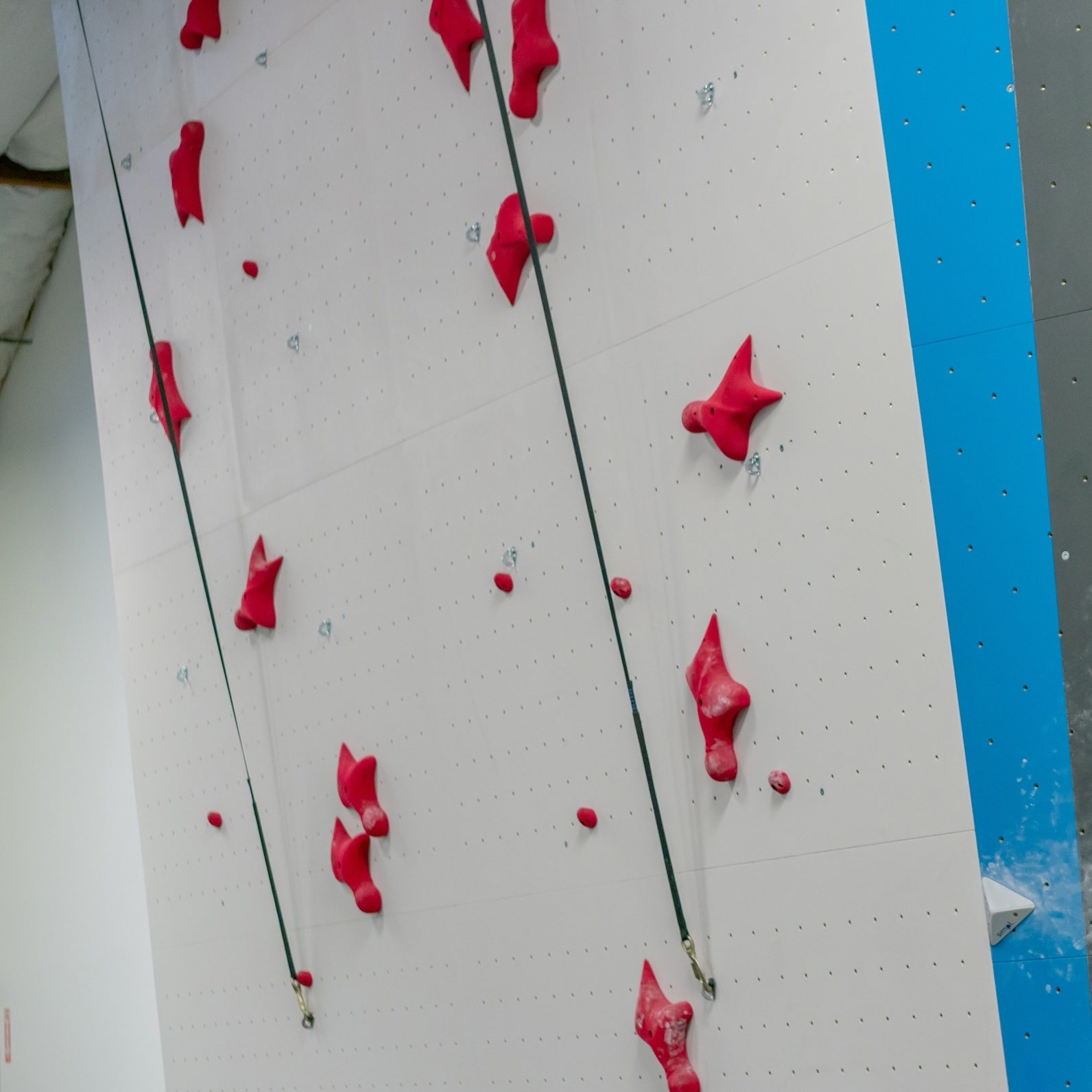 Speed Wall Pic
