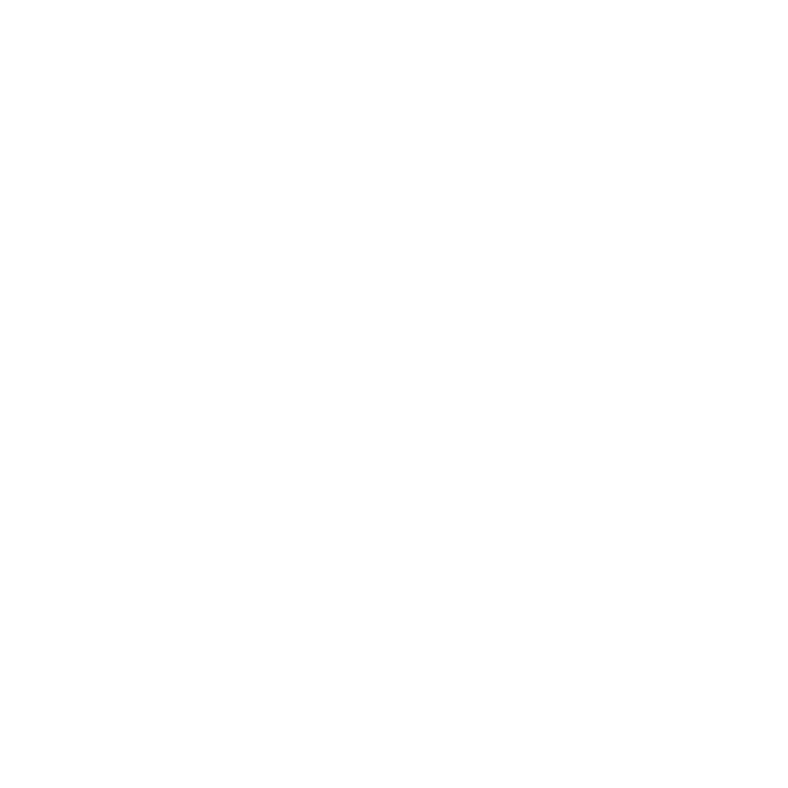 ST_logo_white