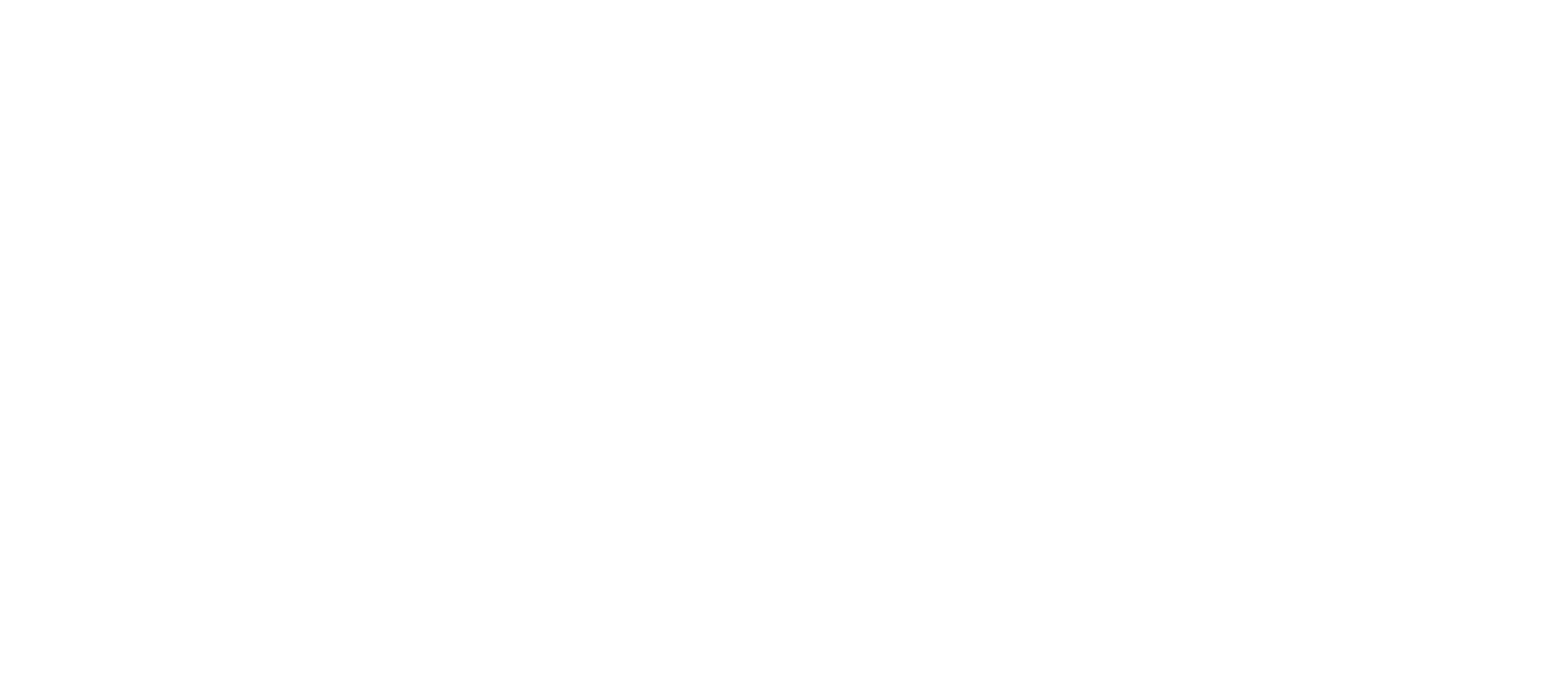 ST_logo_white_horizontal