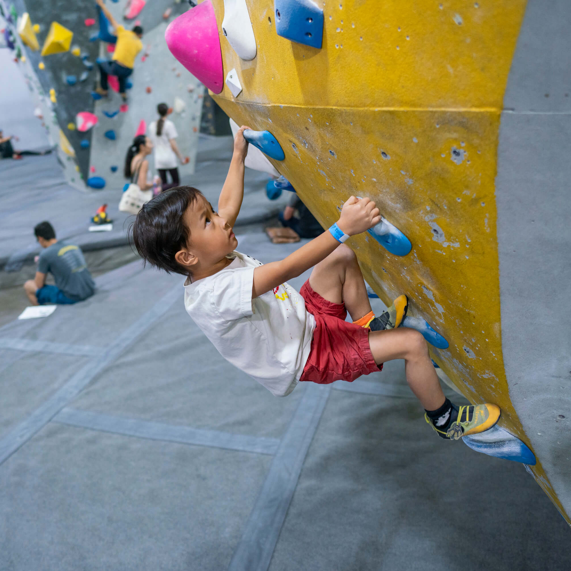 DOGPATCH_Pompermayer__204