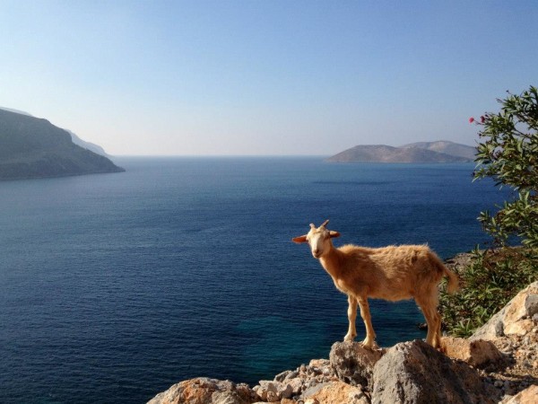 Greece Climbing Trip Report
