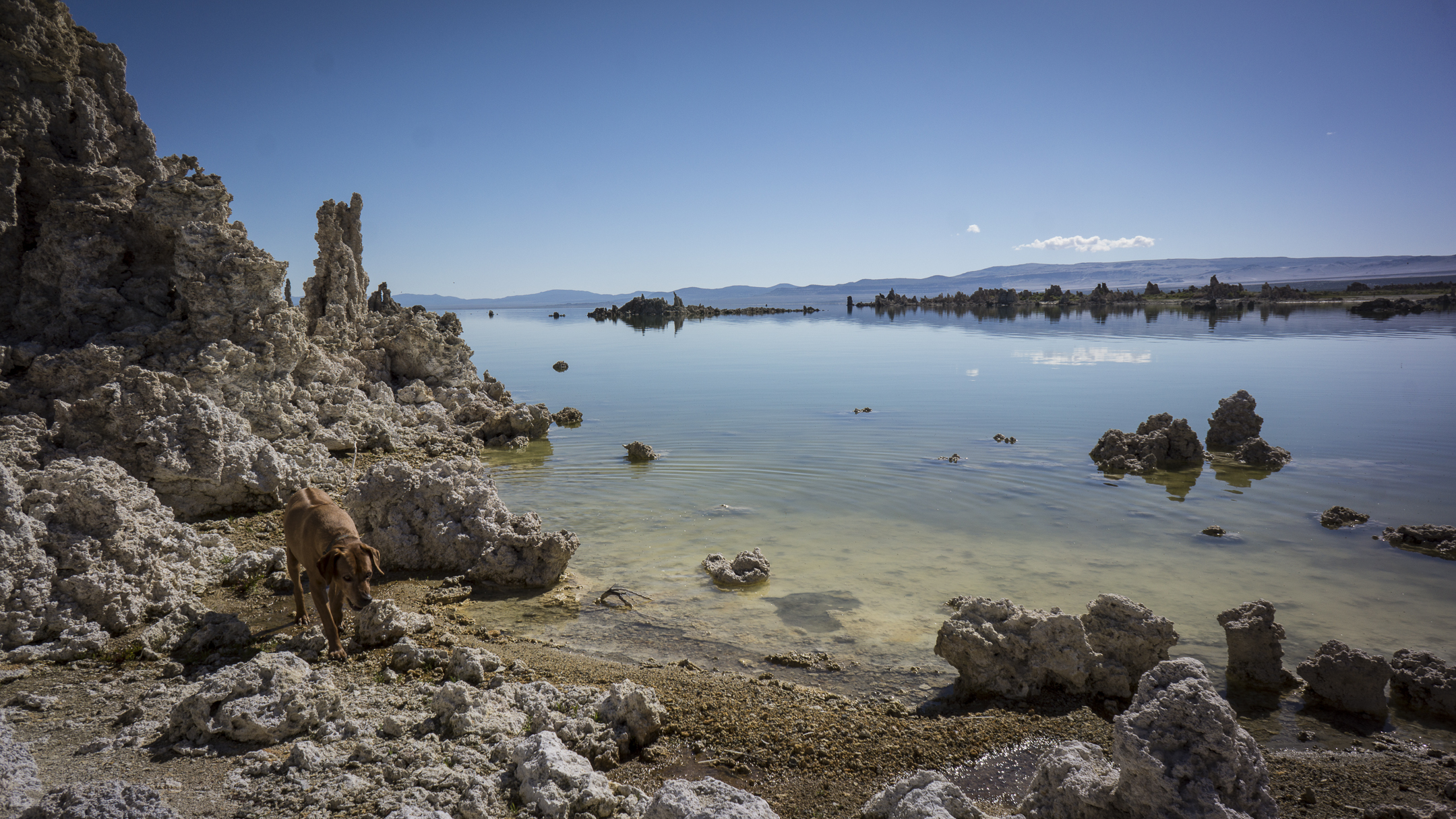 Mono Lake, Meditation, Osho