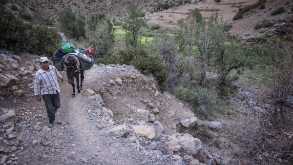 donkeys, taghia, morocco climbing,