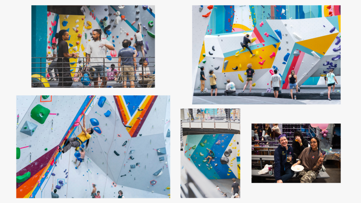 A medley of photos of climbers in our gyms