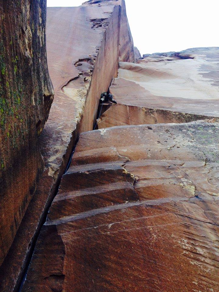 Live Your Dream Grant