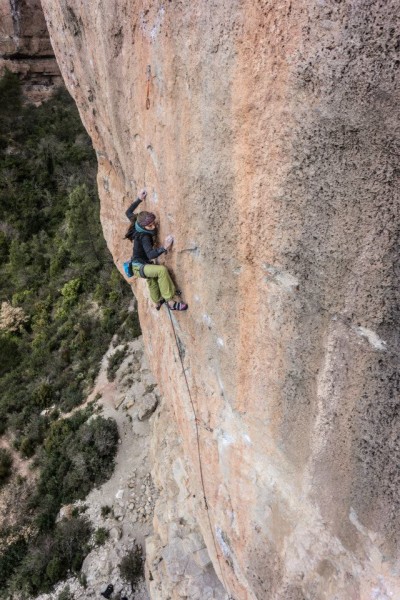 11001910_10101665561443378_7561287785013734742_n