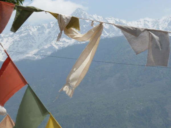 Sacramento Pipeworks Members