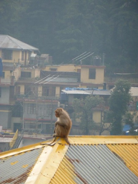 Sacramento Pipeworks Members