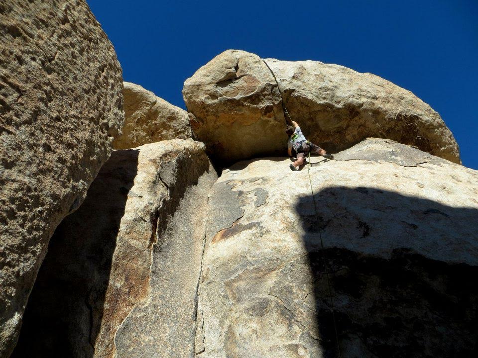 8364e8e6-cc0f-4269-b4ba-117f3cbcc42d