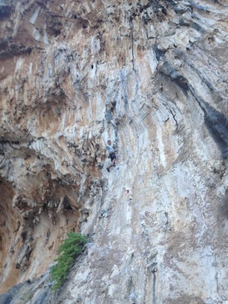 95b4c2bb-ff8e-48ae-9eae-53c3a96e553d