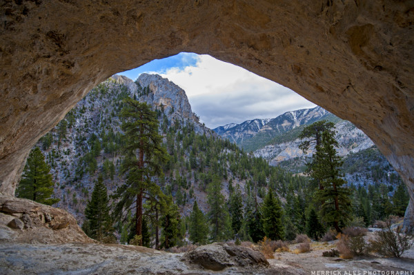 Mount Charleston, Hasta La Vista, Ethan Pringle