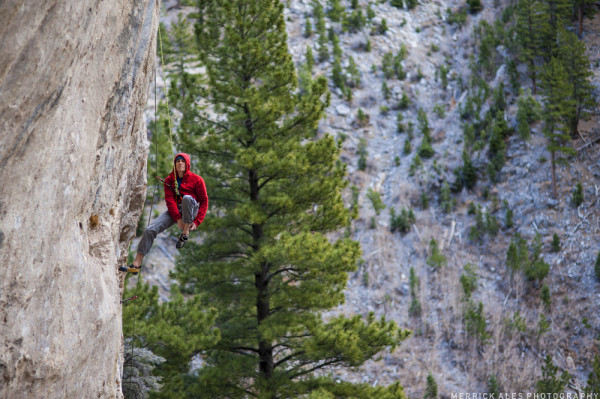 Ethan Pringle, Merrick Ales, Hasta La Vista,