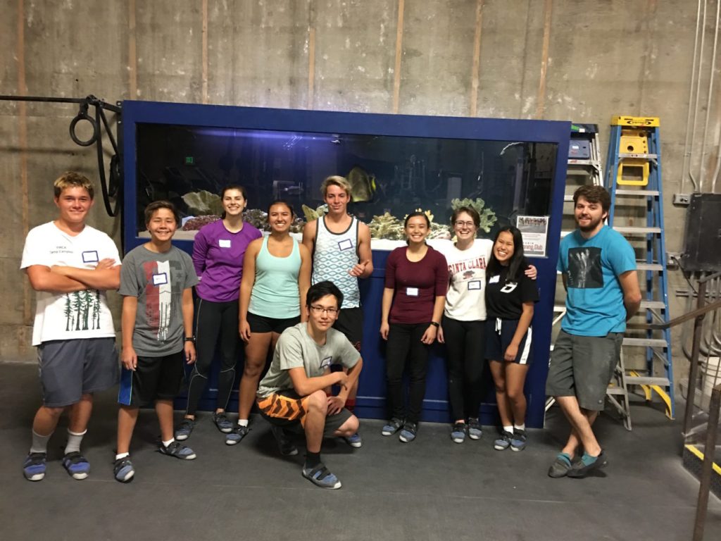 IMG_1952-2-e1479147973334