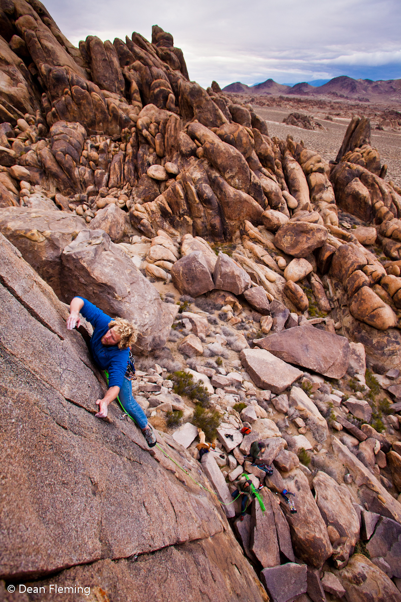 taylor-jackson-climbing-poodle-chews-it-5-9