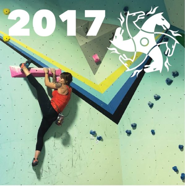 Paving the Way for A Big Year