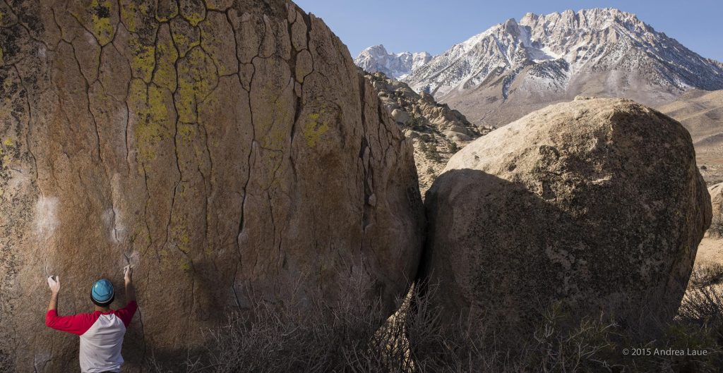 Copyright 2015 Andrea Laue