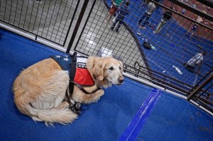 Wounded Warrior Project at Mission Cliffs 