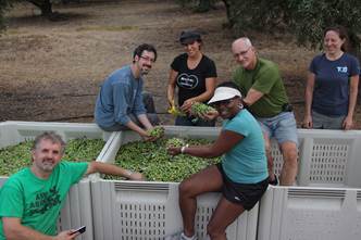 Sacramento Pipeworks 