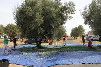 Sacramento Pipeworks 